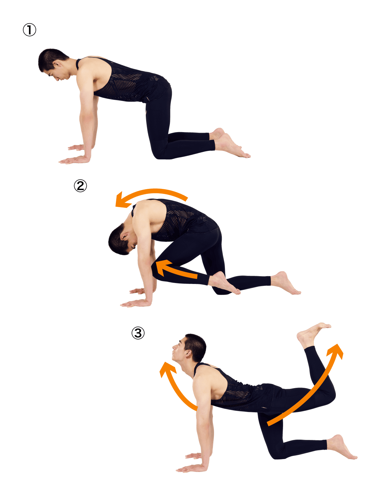 腰・動ストレッチ