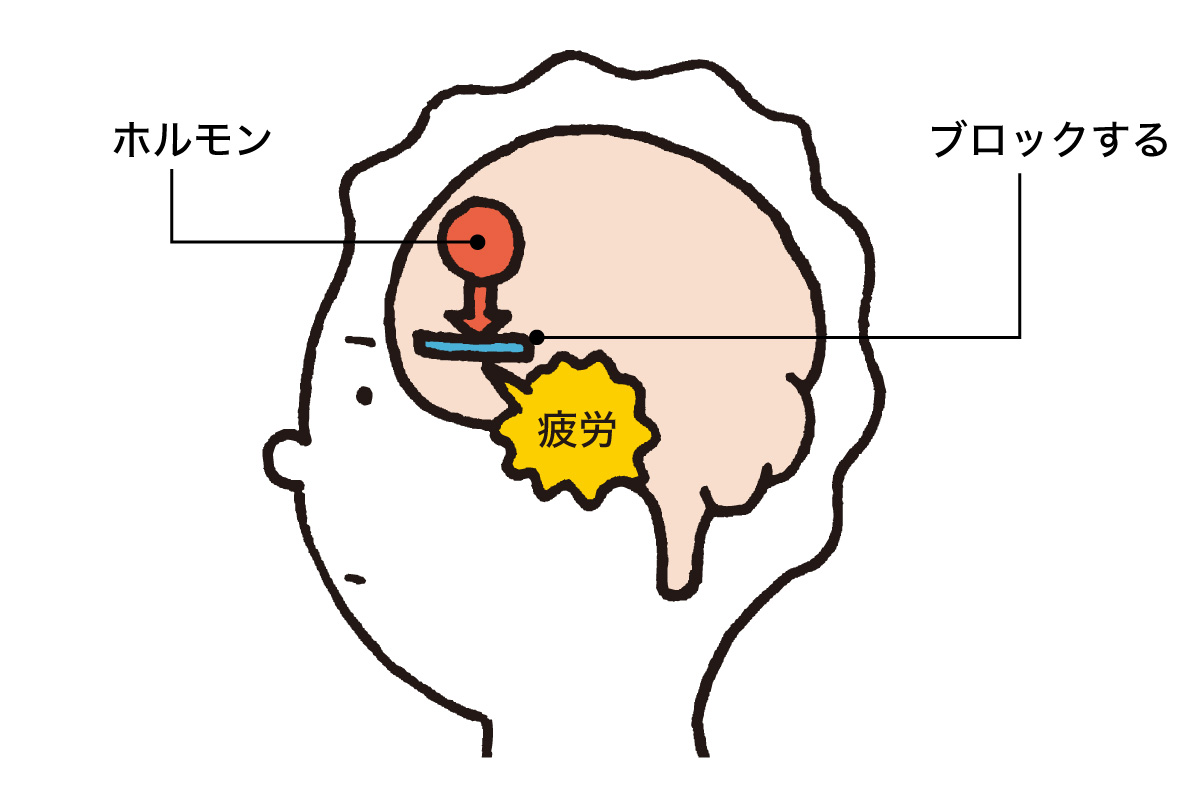 報酬が疲労感をマスキング
