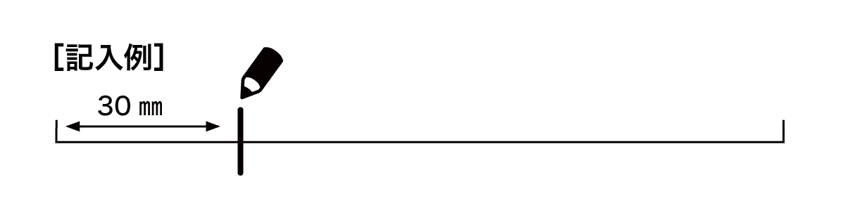 記入例