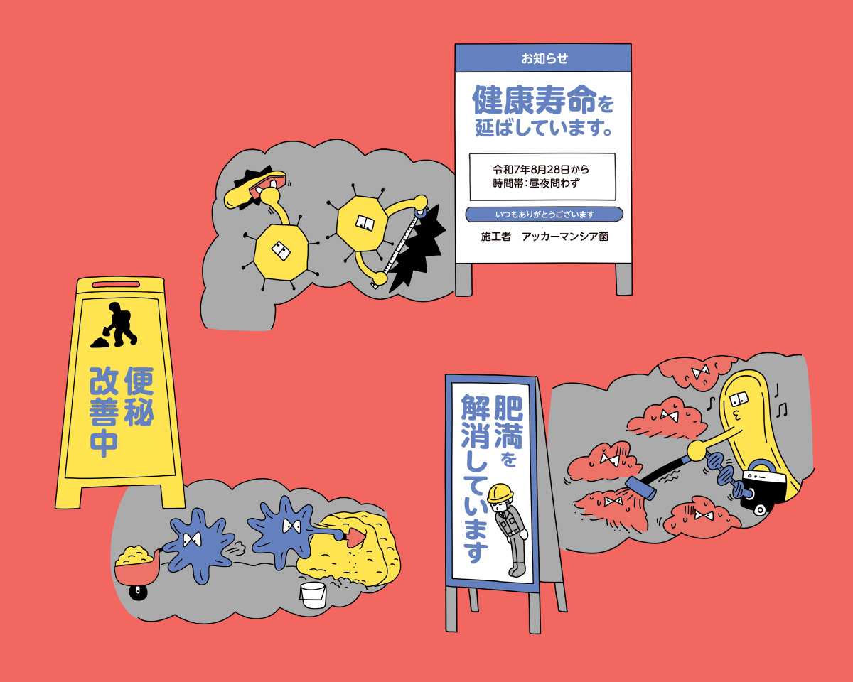 腸内細菌のはたらきで、カラダにはどんな影響がある？