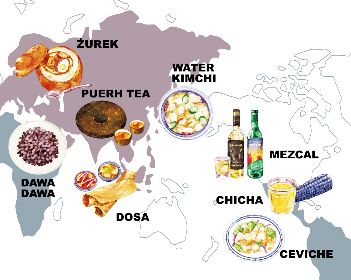 世界の発酵食品。