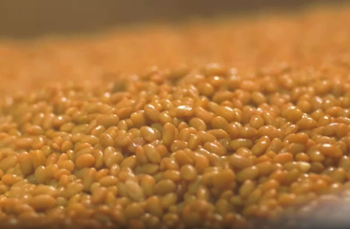 タカノフーズ なっとく！ファクトリー