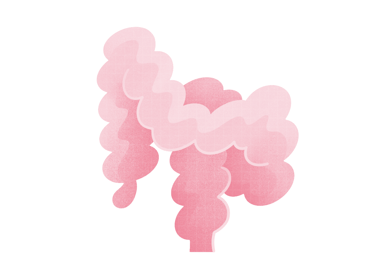 ねじれ&サガリ腸