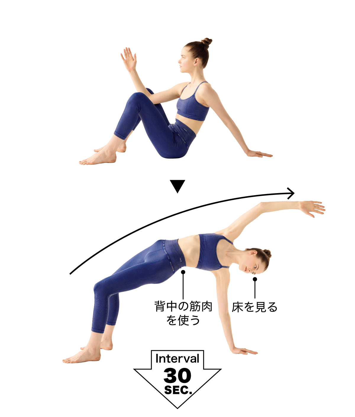 リバースプランクリーチング