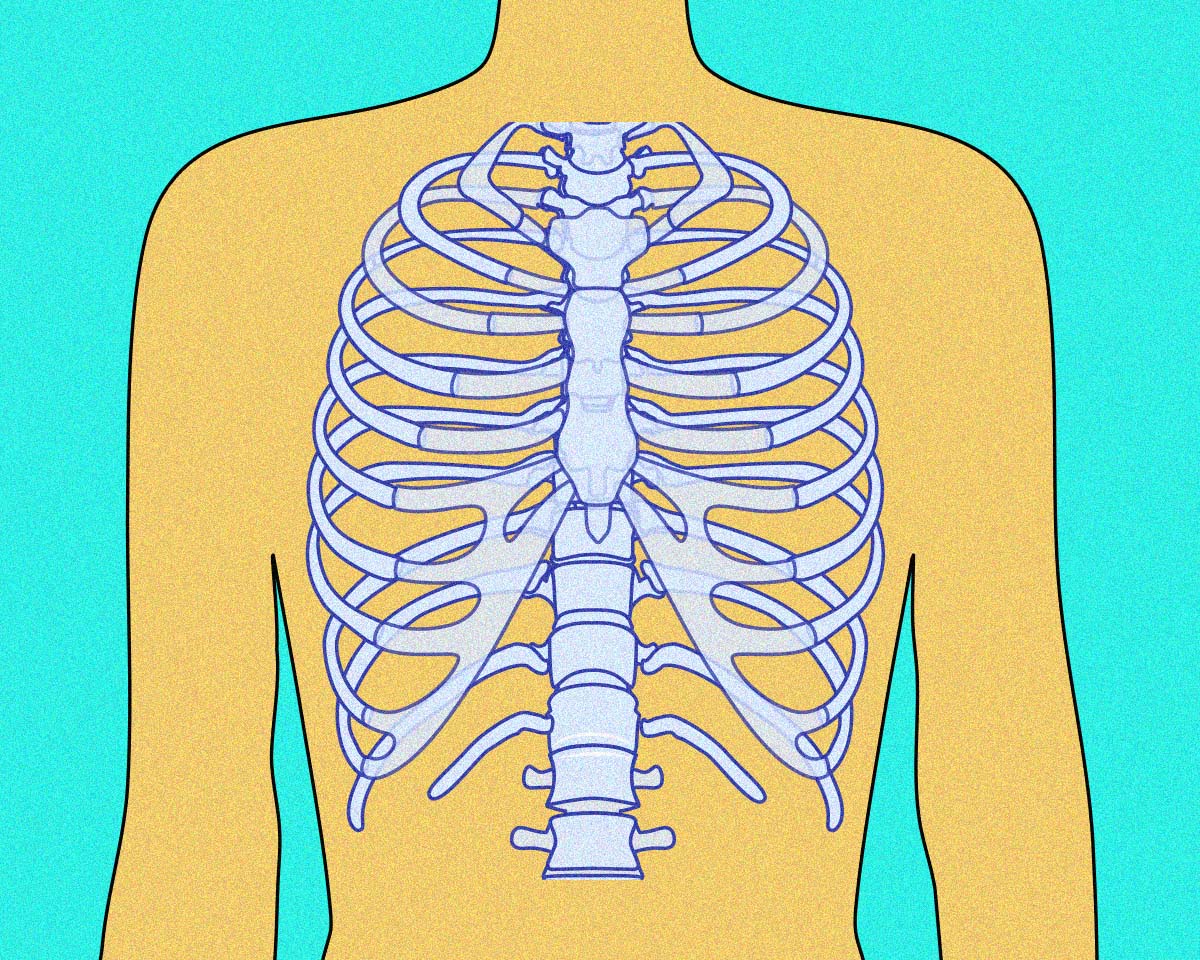 猫背も呼吸の浅さも、原因は胸郭の歪みだった！