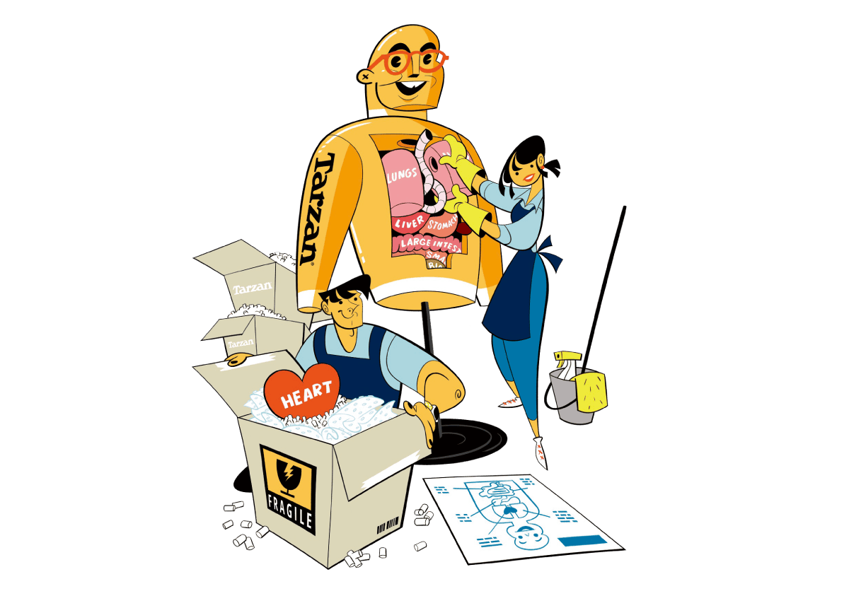 臓器はコンパクトに収納されている