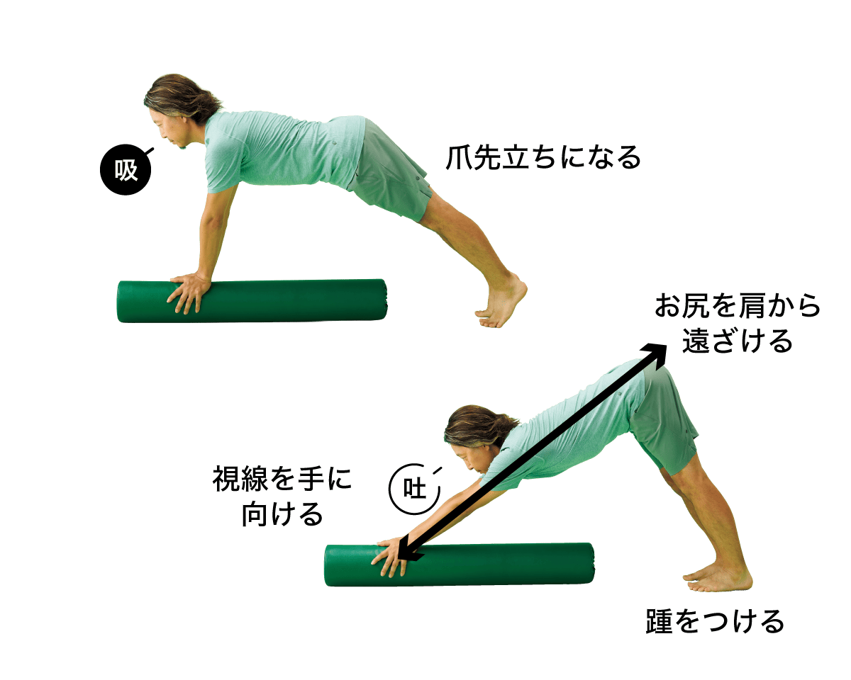 ダウンドッグ（５回×1セット）