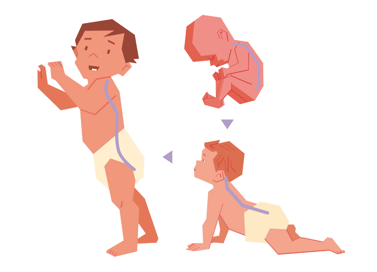 歩くようになりS字カーブは完成