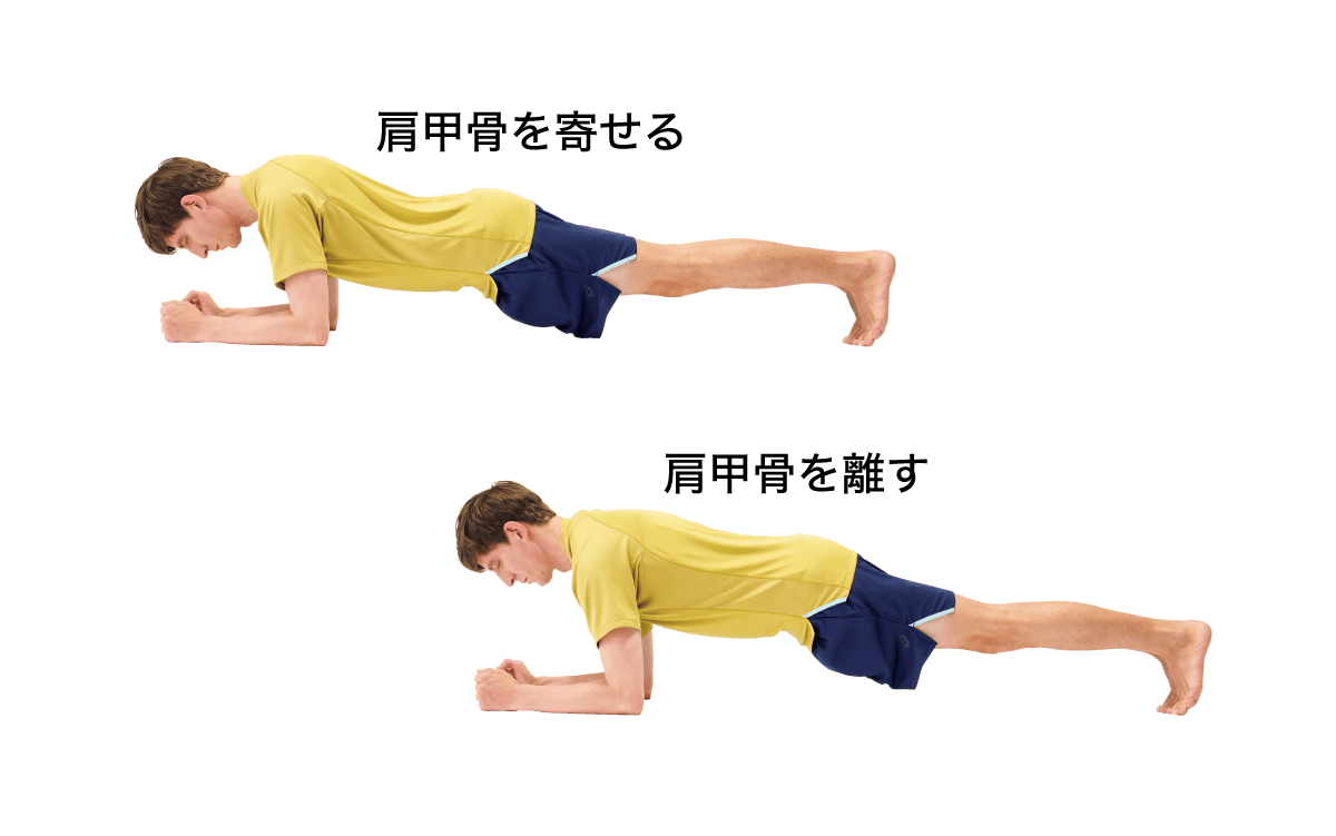 【前鋸筋エクササイズ】スキャプラプランク