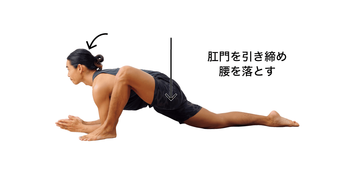 トカゲのポーズ