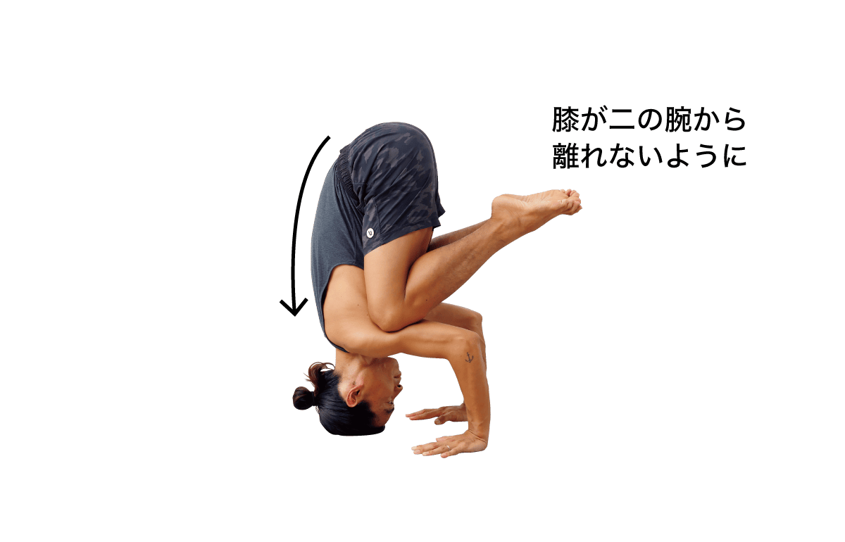 頭立ちのポーズ