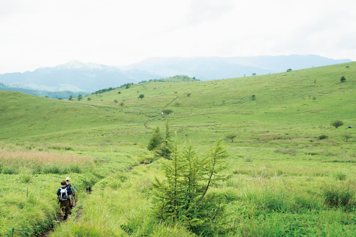 長野県　霧ケ峰高原
