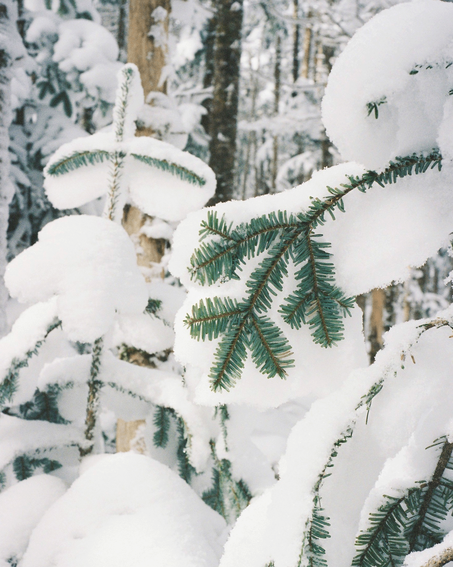 三重県・大杉峡谷｜秋の澄んだ空気の中で、美しい水の色に出会う。｜11月の山