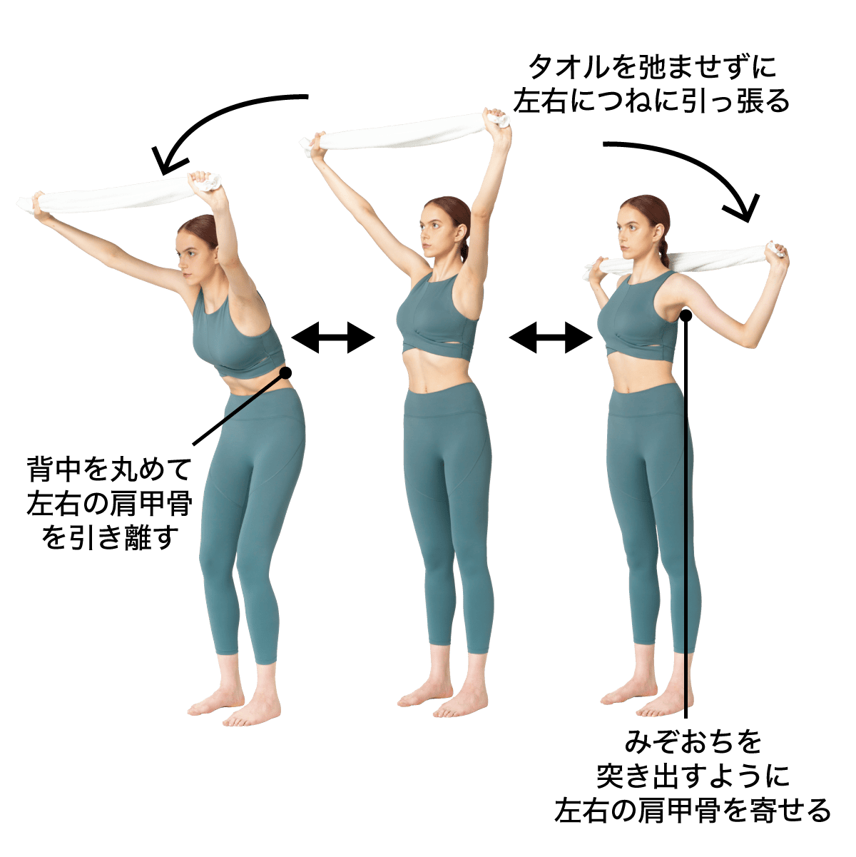 タオルキャットバック