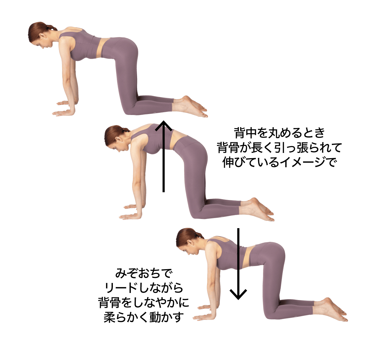 キャットバック