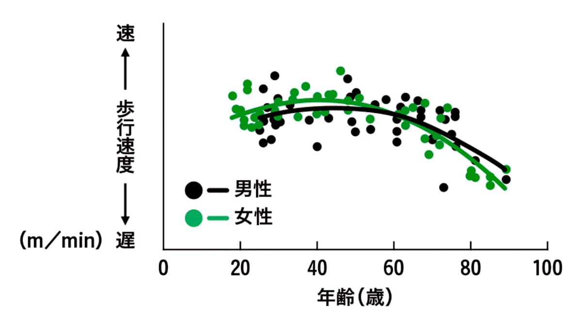 加齢による歩行速度の変化