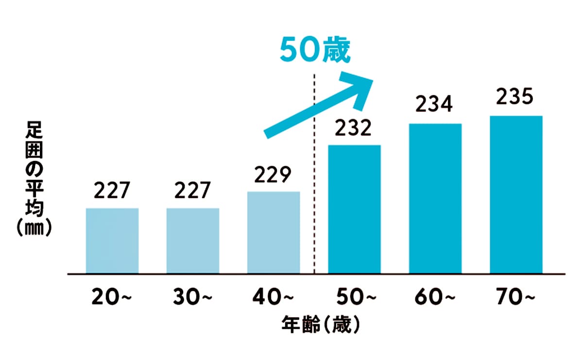 加齢による足囲変化のグラフ