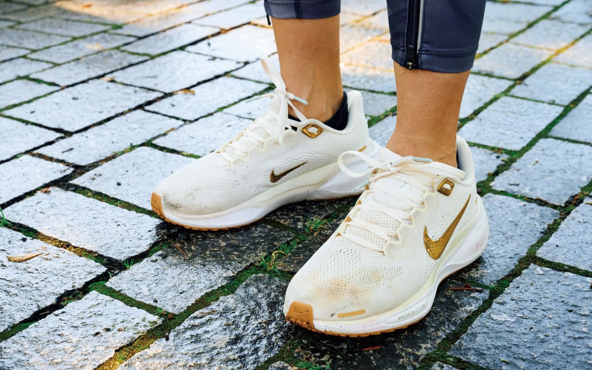 ナイキ《ペガサス》