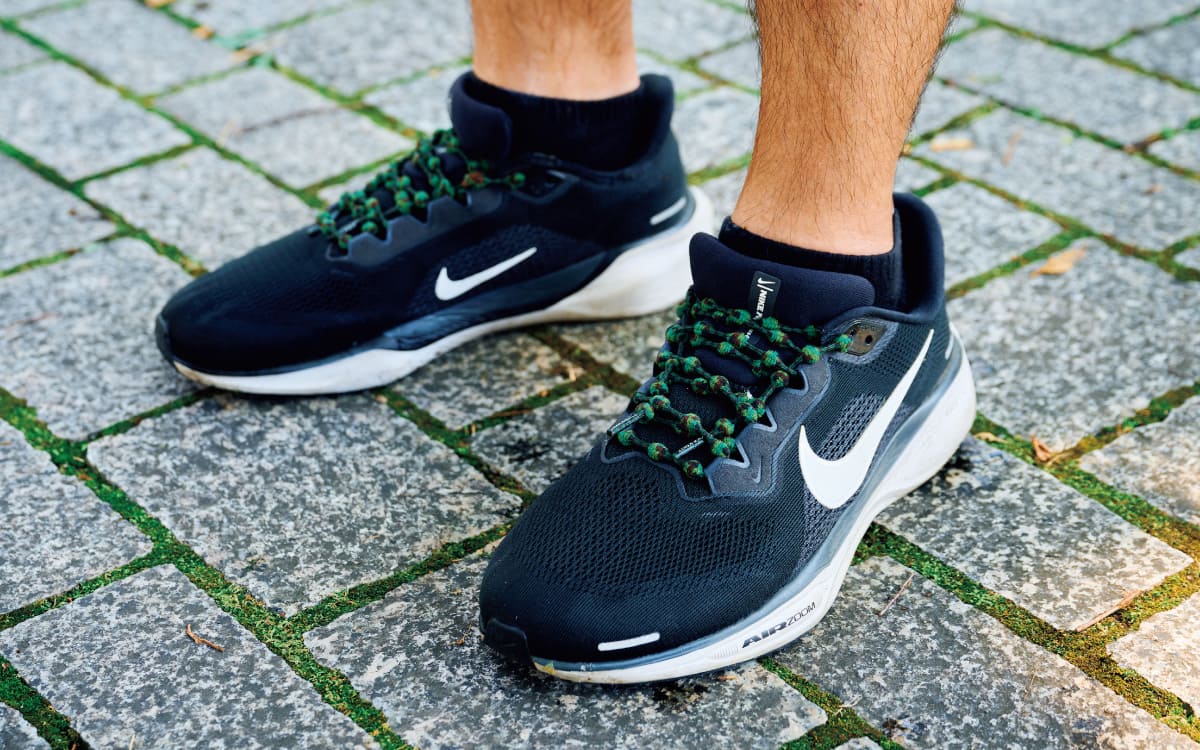 コブタイプの紐