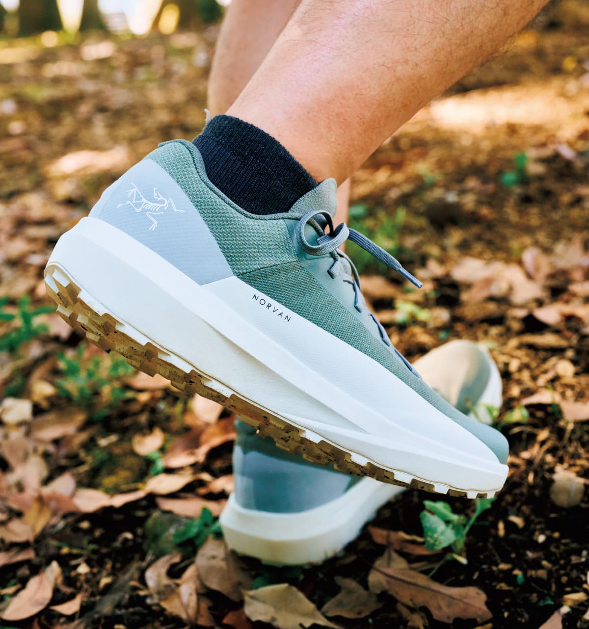 Arc' teryx NorvanLD4