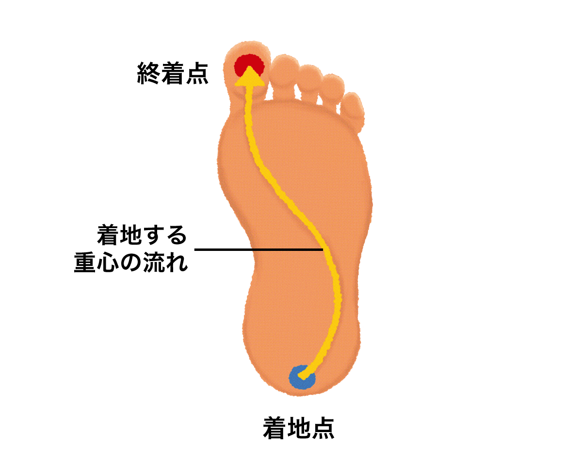 正しい重心移動のイラスト