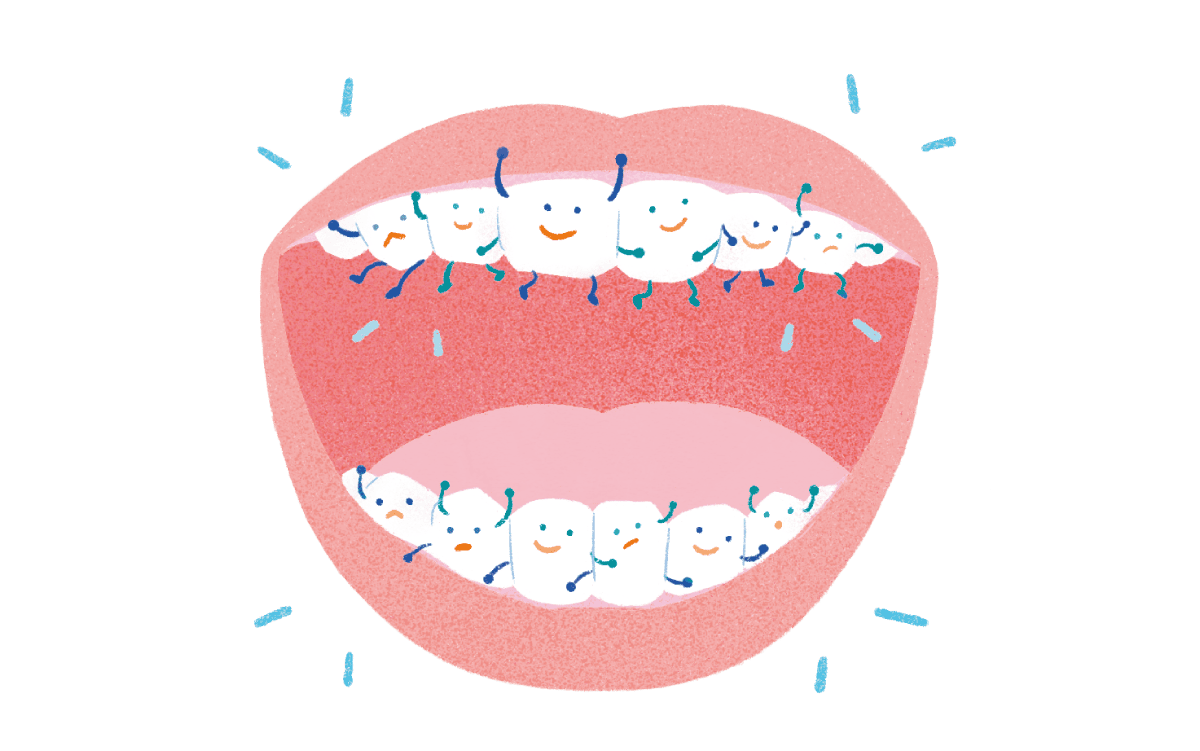 歯が生き生きしているイラスト