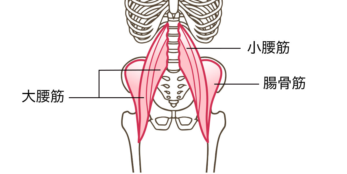 腸腰筋とは