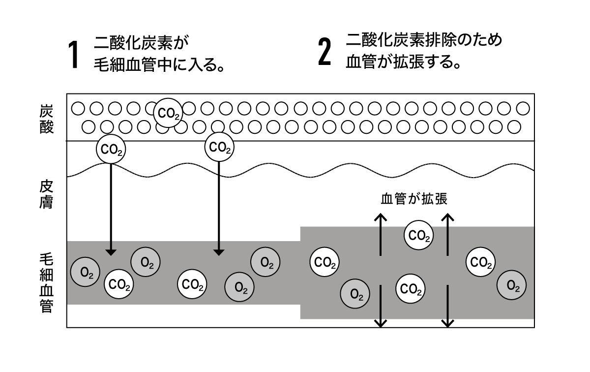 温泉のガス成分が血管を拡張させる仕組み
