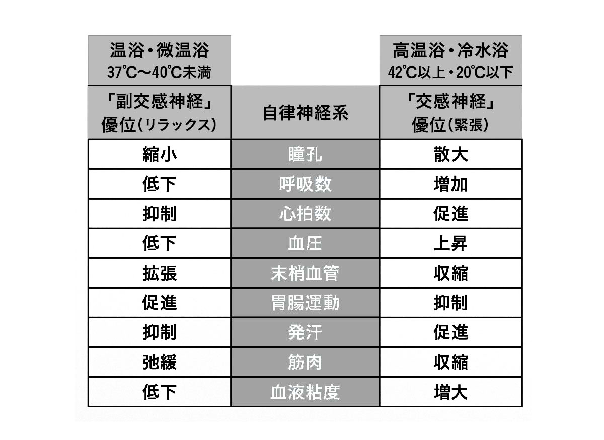 湯の温度と自律神経の関係のグラフ