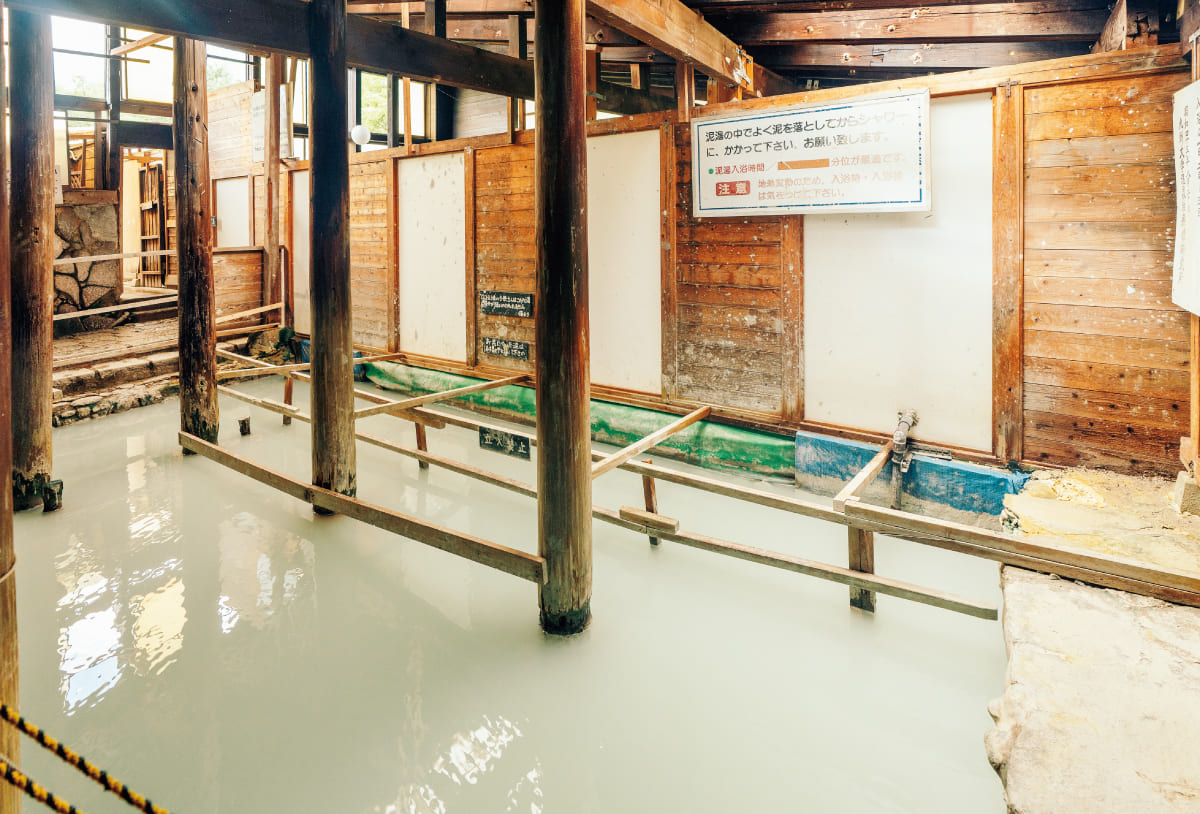 別府温泉保養ランド(別府・泥湯)