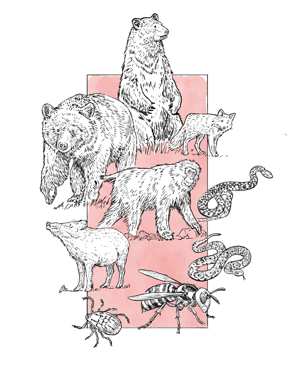 怖い生き物は、クマだけにあらず。