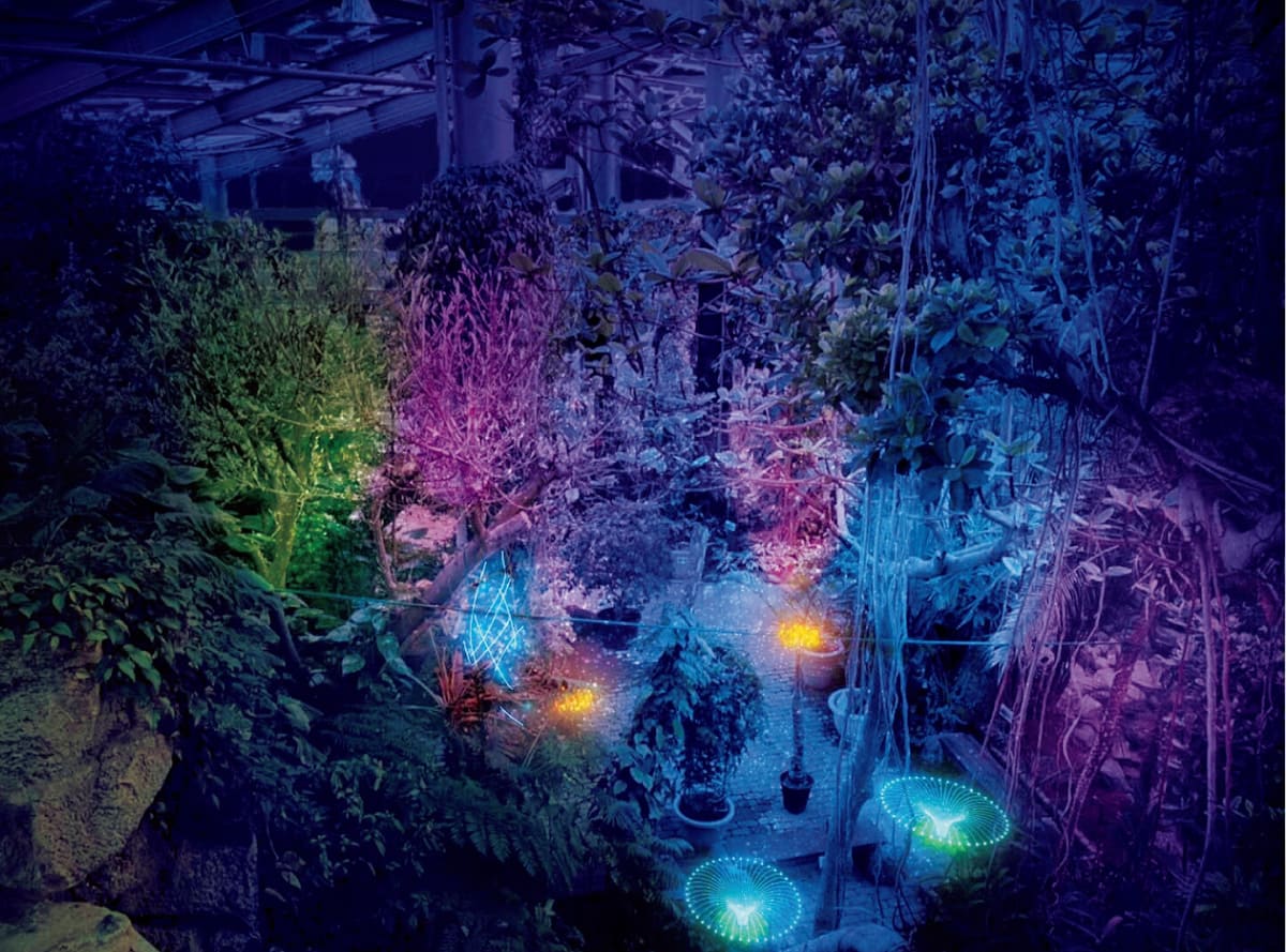 ライトアップの様子