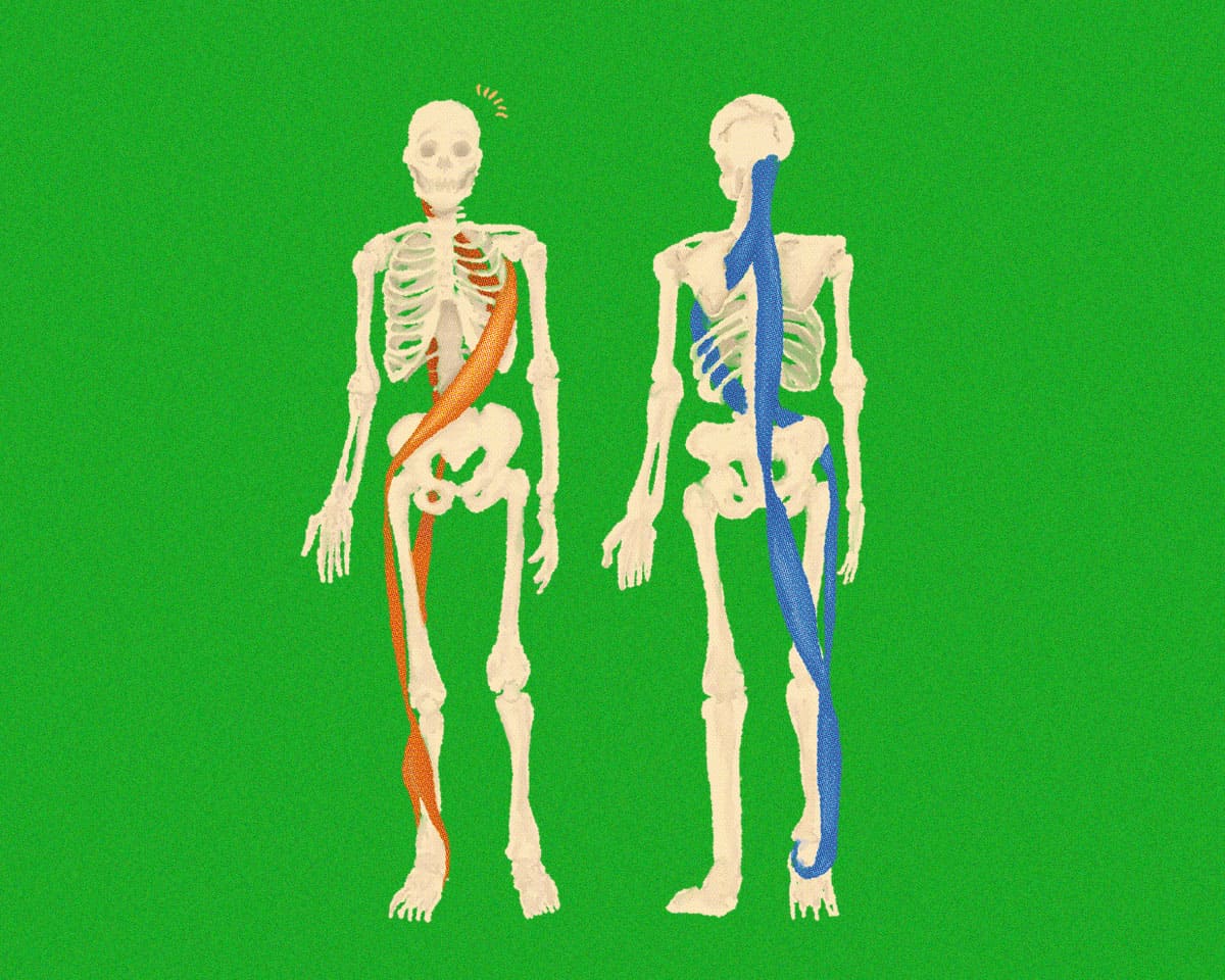 肩甲骨・股関節が連動すると、動きの質が変わる！