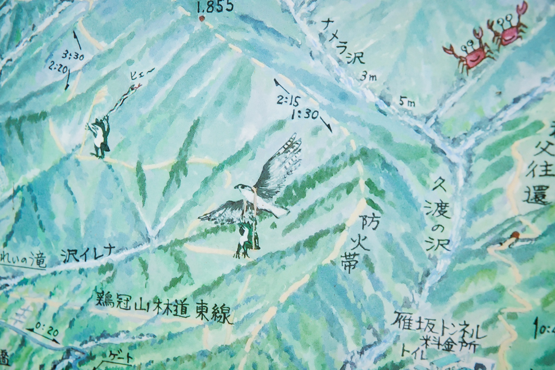 動物の絵が書き込まれた地図。