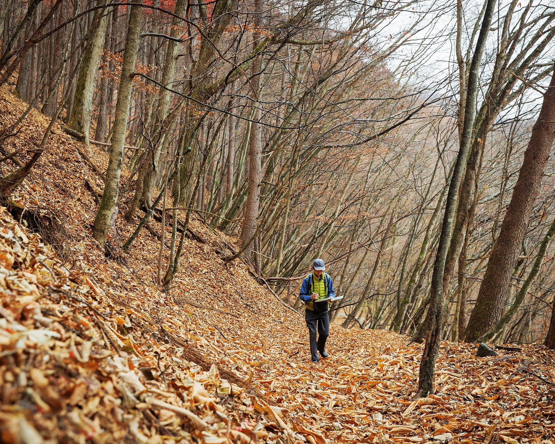 歩きながらスケッチを描き、山への感謝を伝える絵師。 ローカルヒーローに会いに行く。vol.3