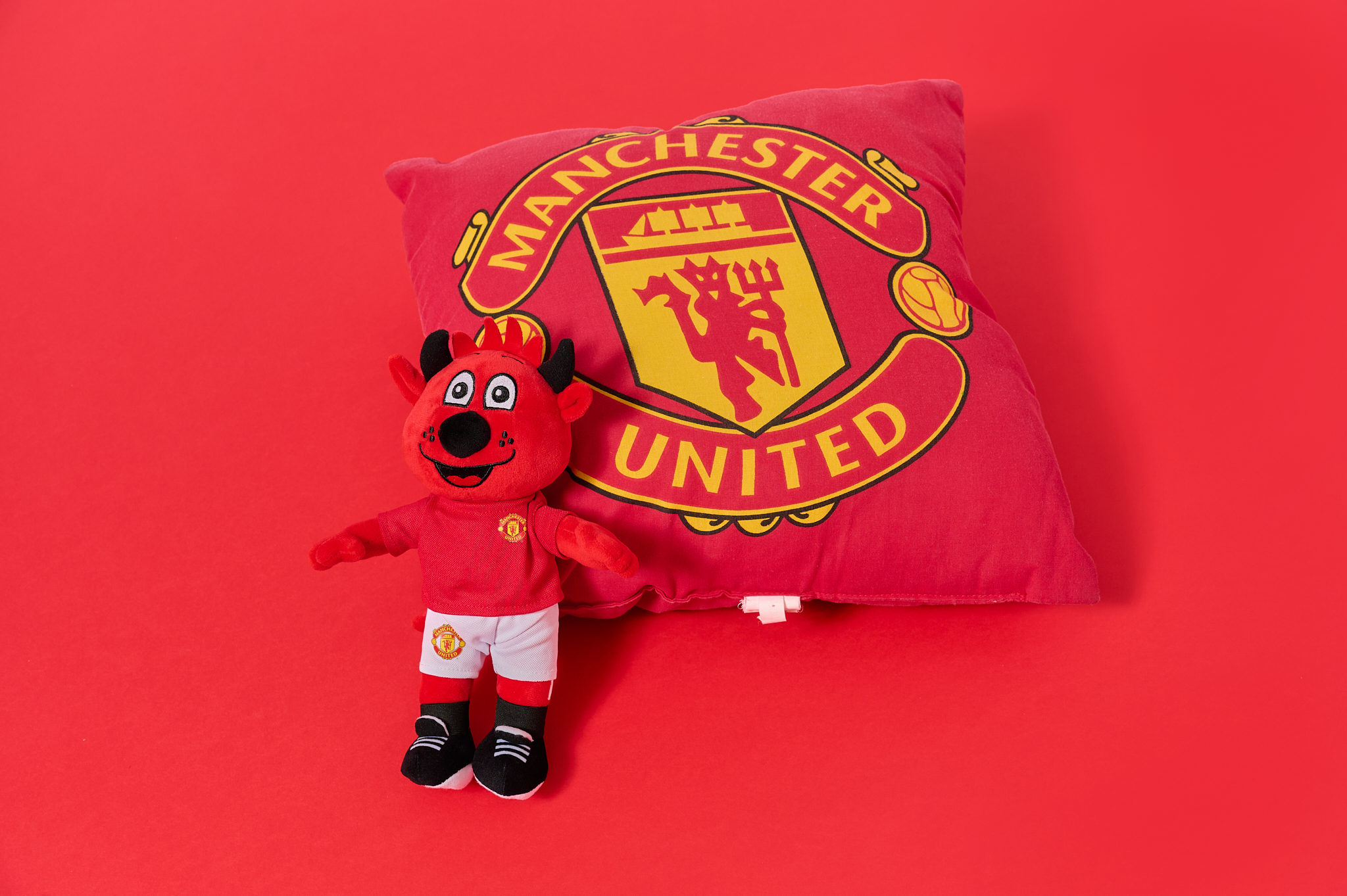 HANAKAさんの私物であるマンチェスターユナイテッドのグッズ