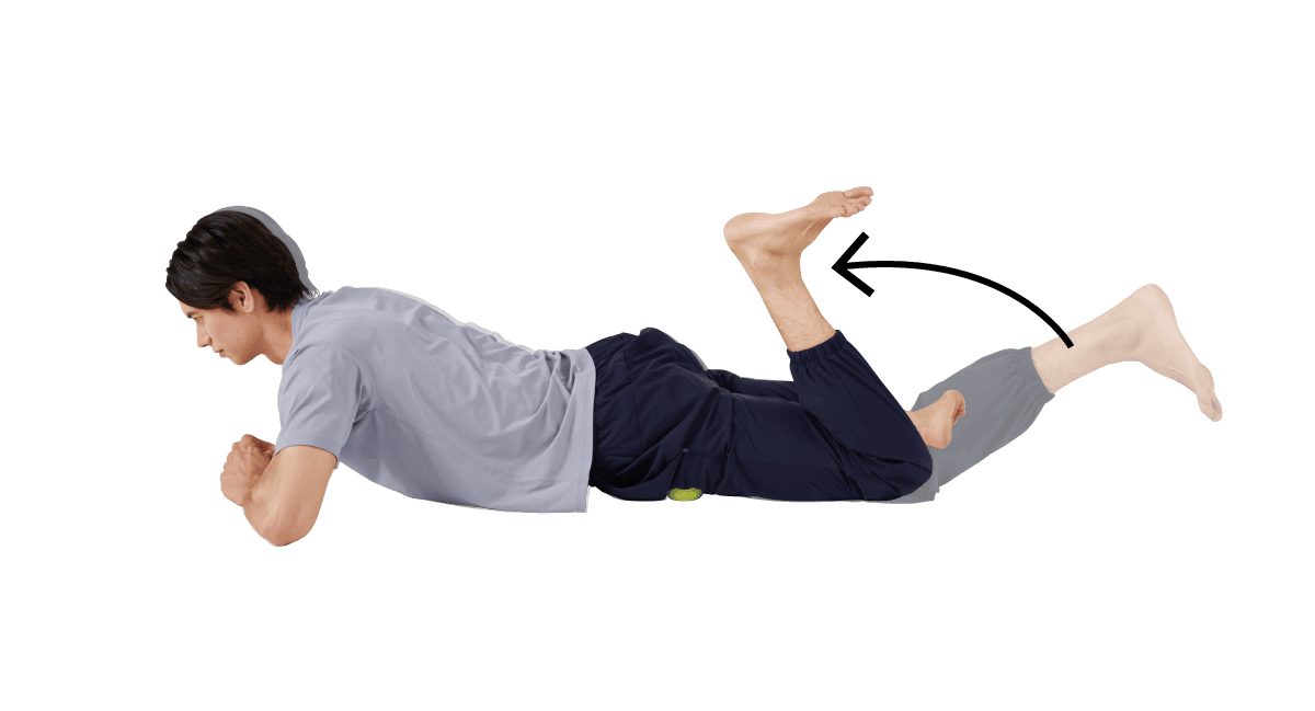 大腿四頭筋リリース2