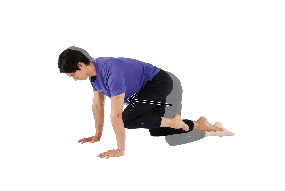 ヒップサークル