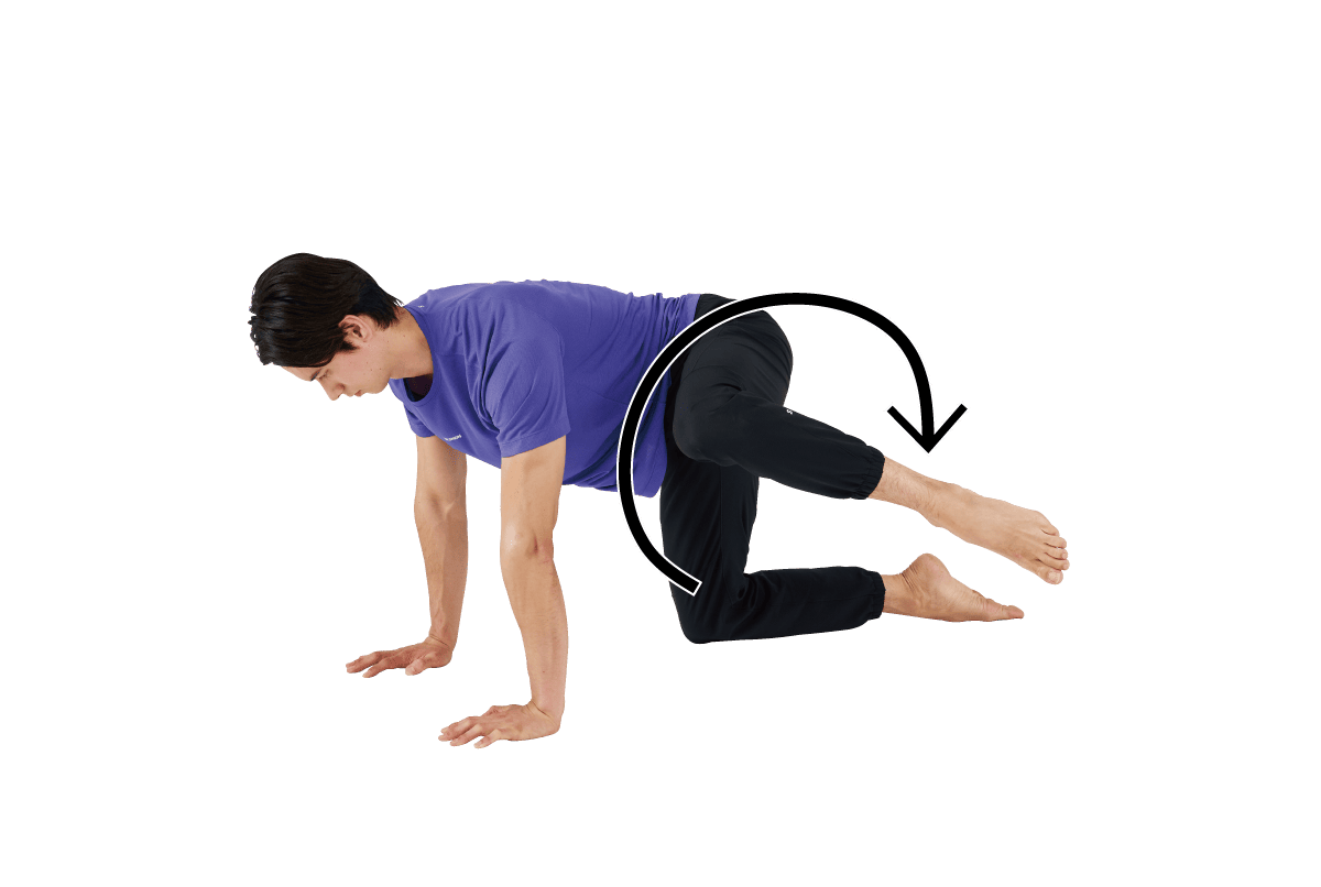 ヒップサークル