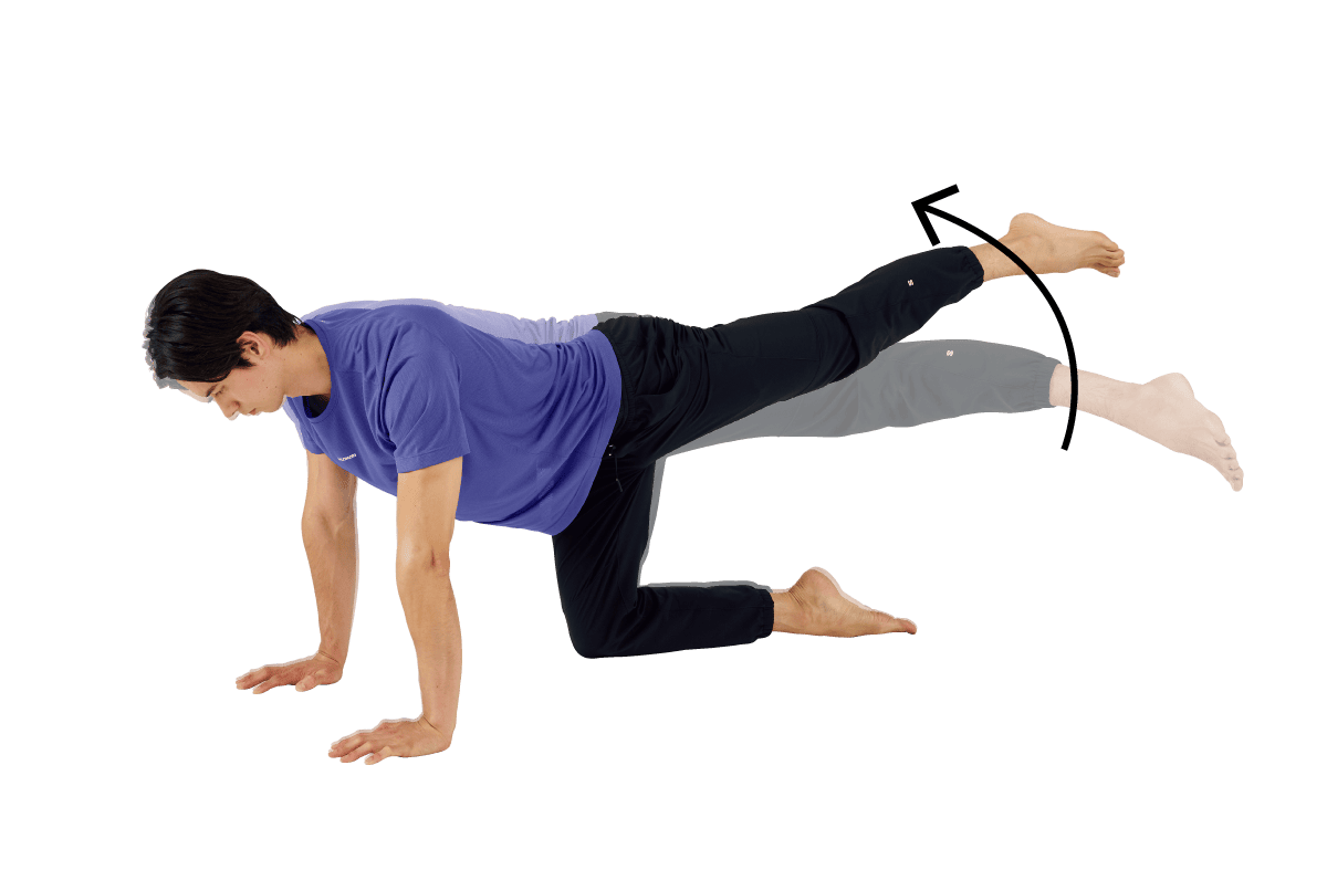 ヒップサークル