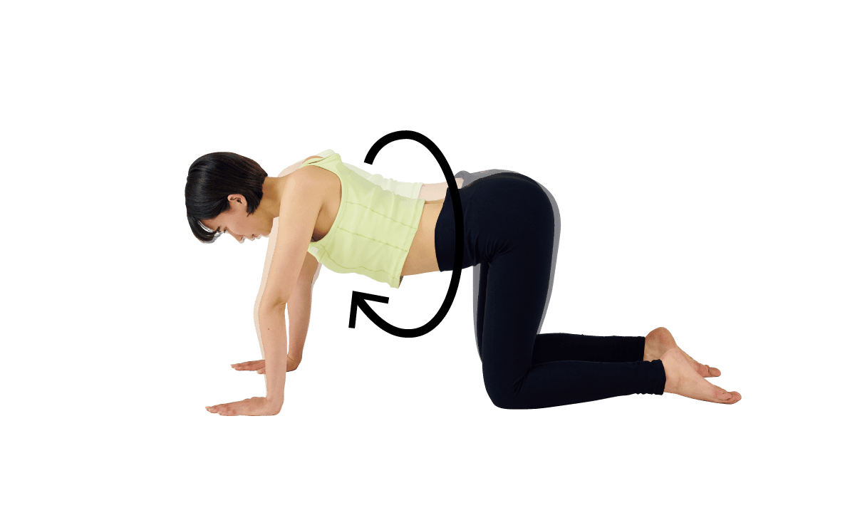 スパインロール