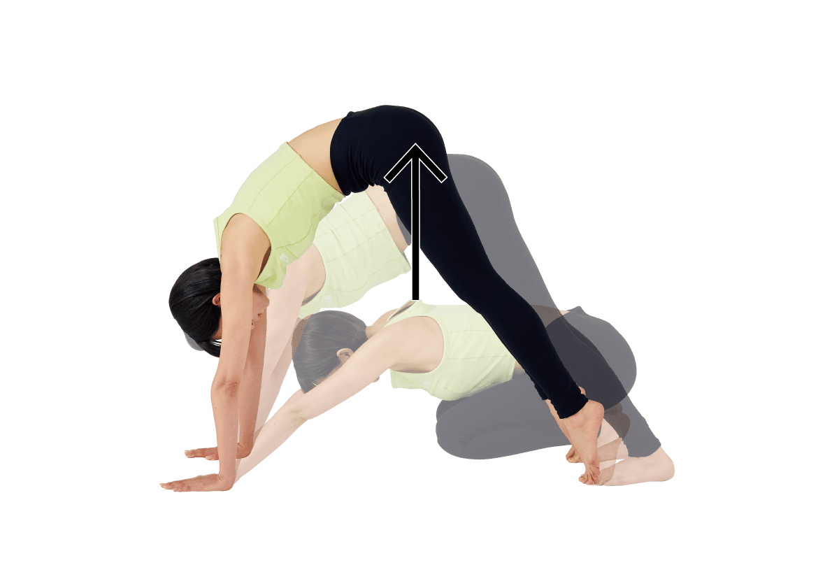 ハイプランク・スパインウェイブ