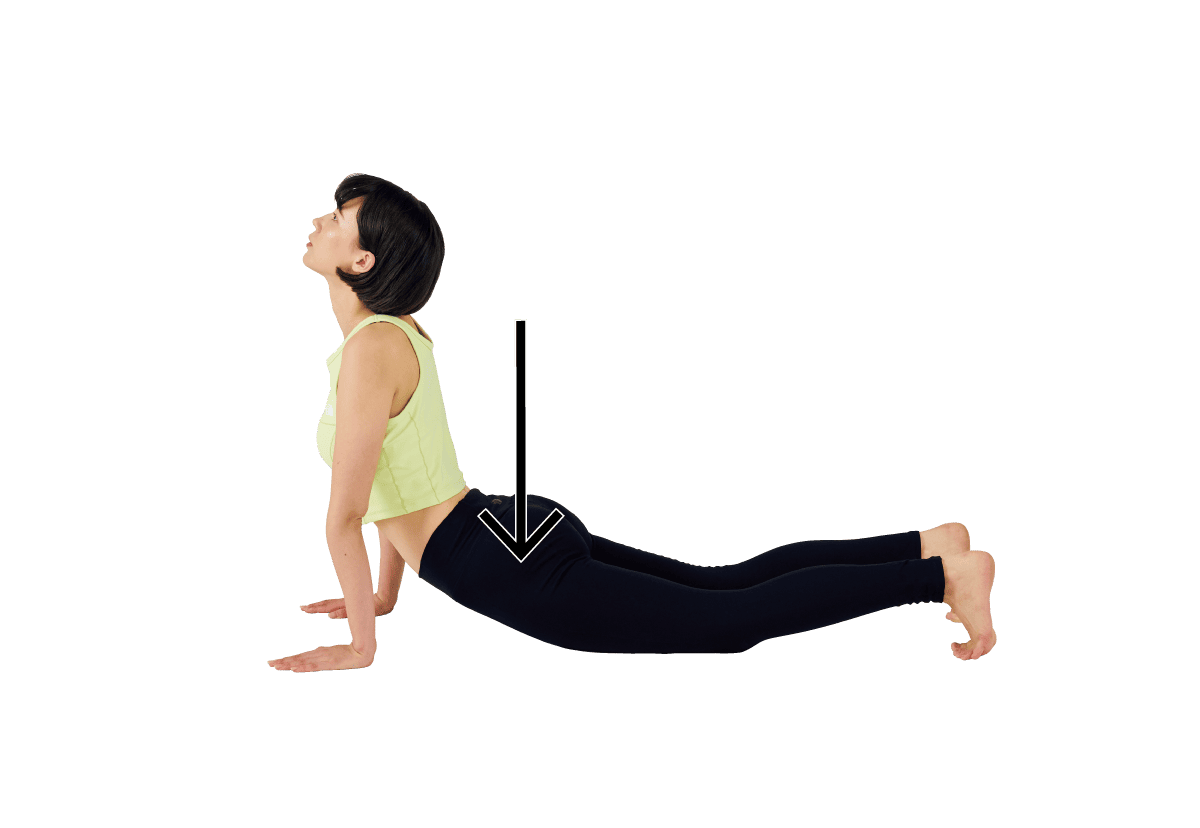 ハイプランク・スパインウェイブ