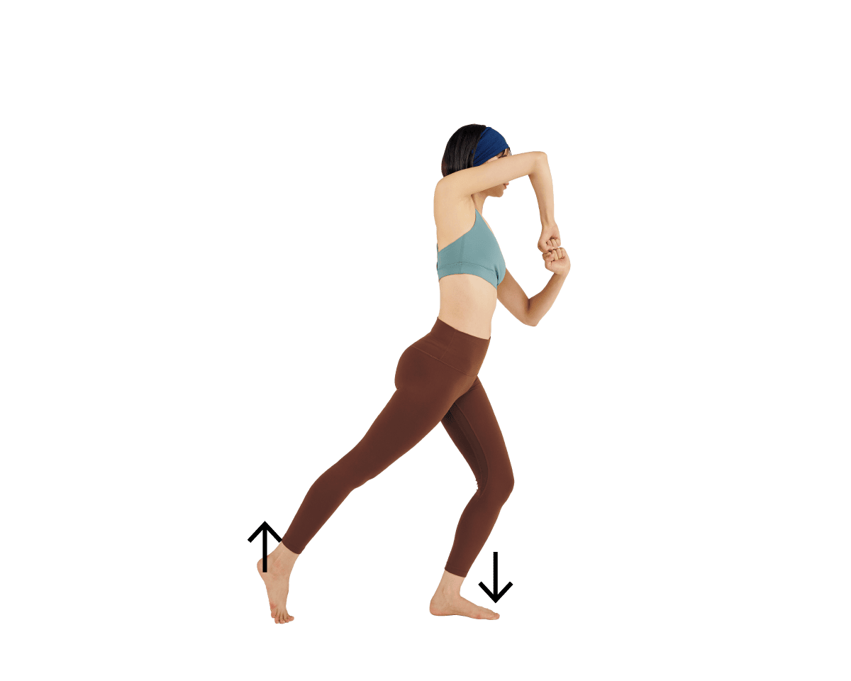 フォワードランジ&エルボーサークル