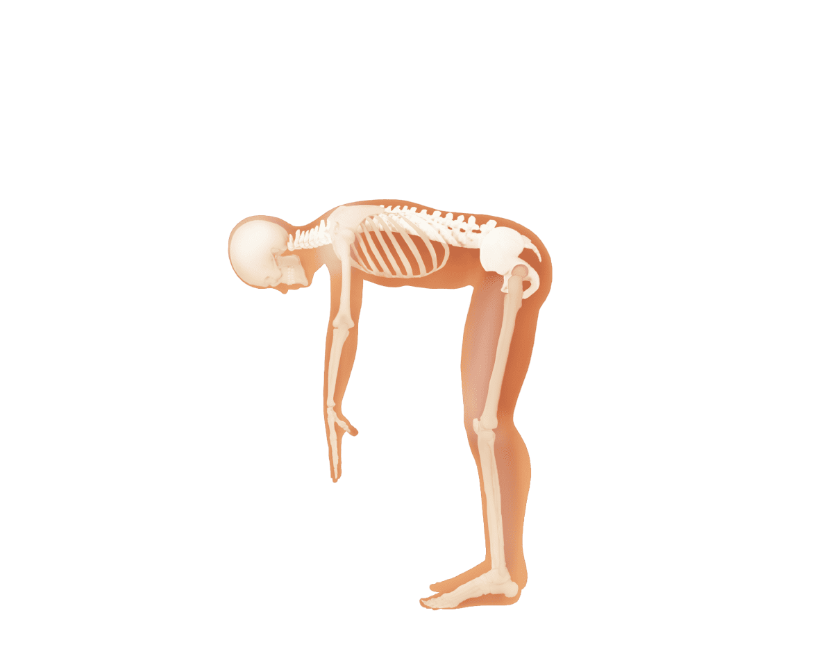 股関節を曲げているイラスト