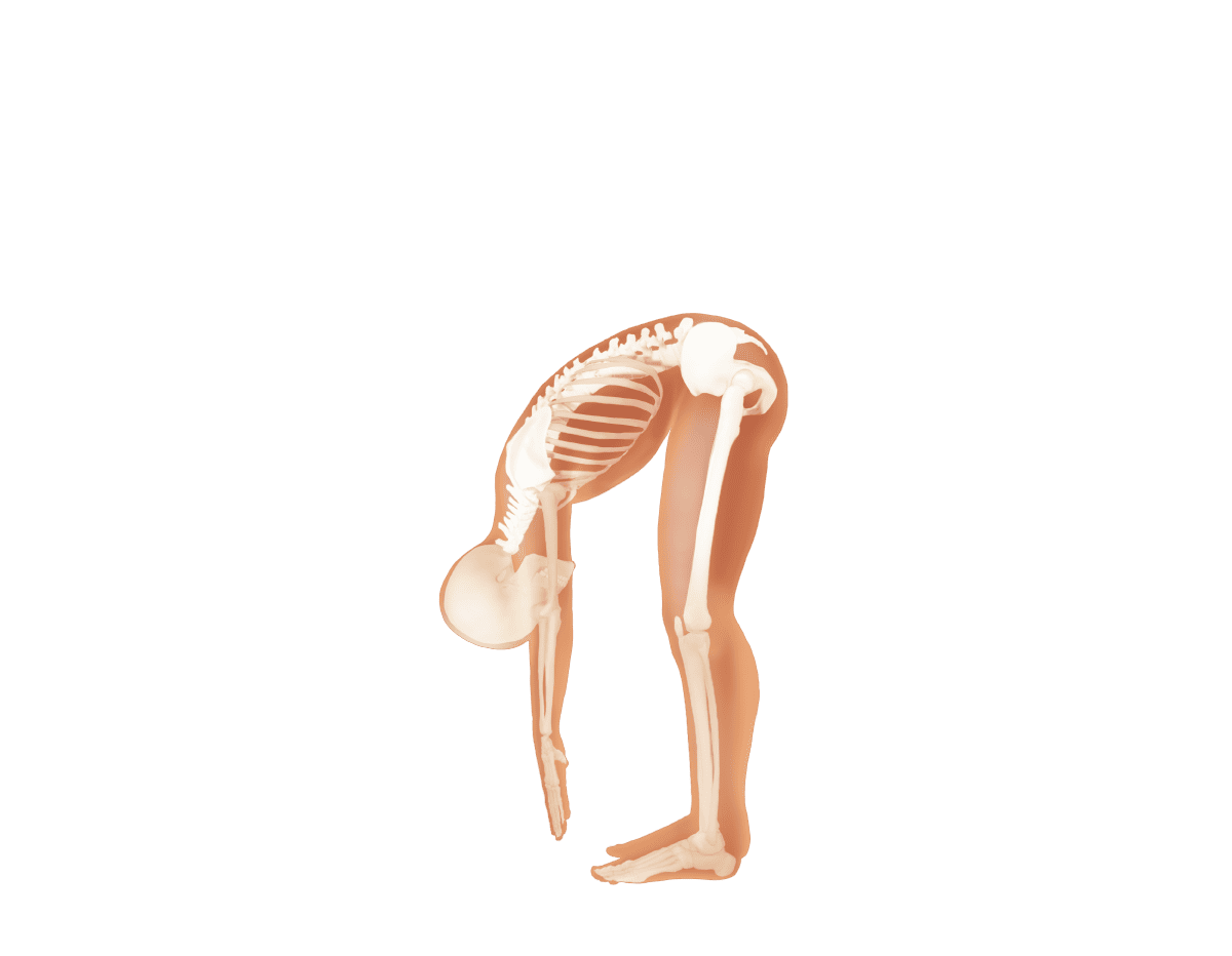 股関節を曲げているイラスト