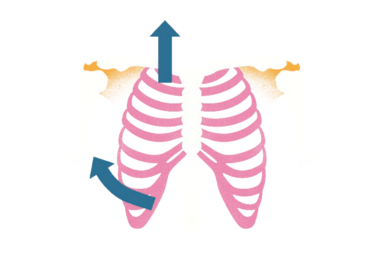 胸郭のスペースを広げようとする。