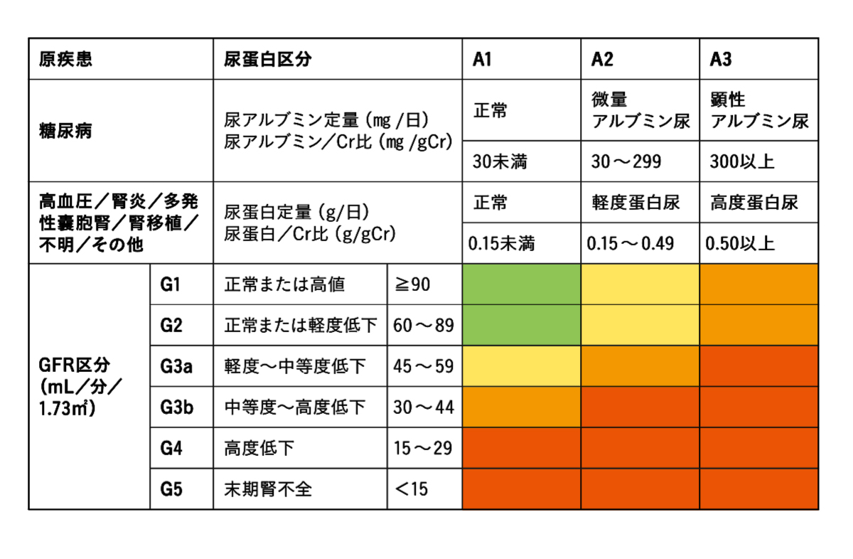 日本腎臓学会編『CKD診療ガイド2024』東京医学社