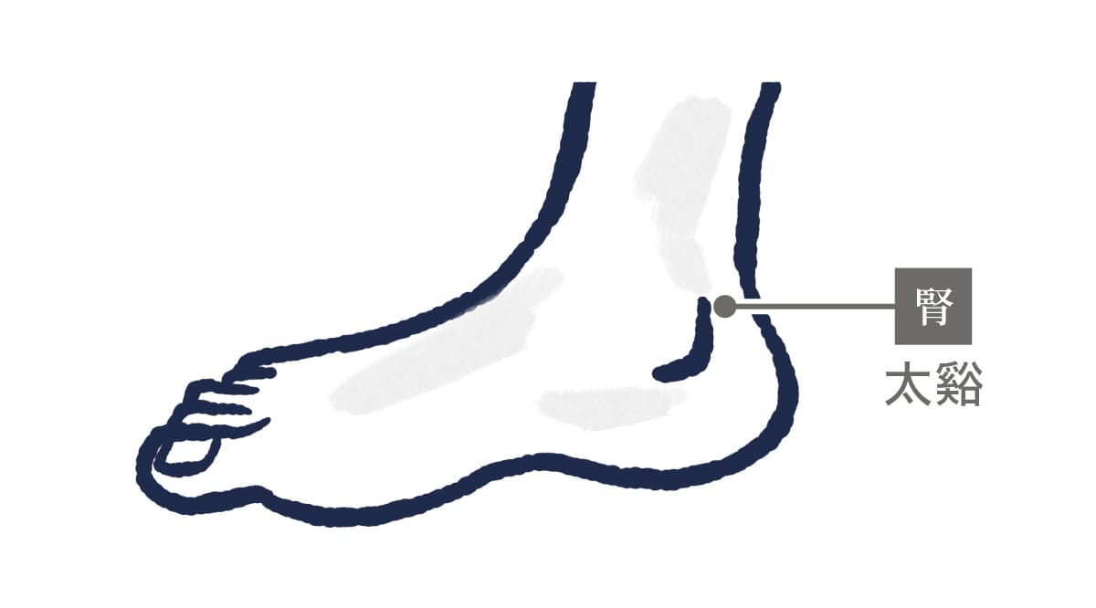 うちくるぶしの高いところいあるツボ