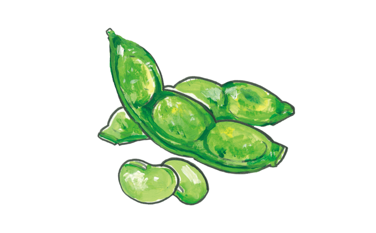 枝豆イラスト